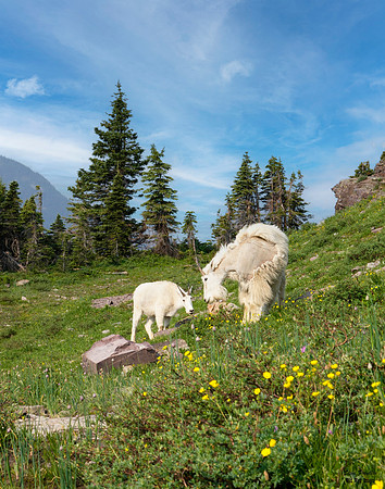 Mountain Goat hill 1 det + WWI sky best