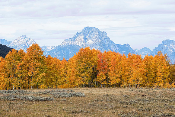 Oxbow Flats FAll 1 det WWI