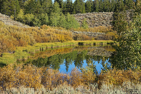 Teton Fall Pond 1 det WWI