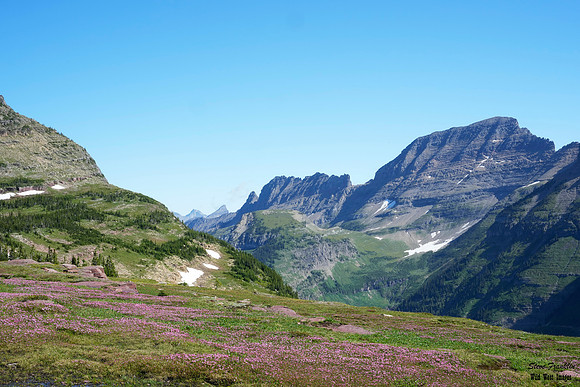 Logan Pass 1 det WWI