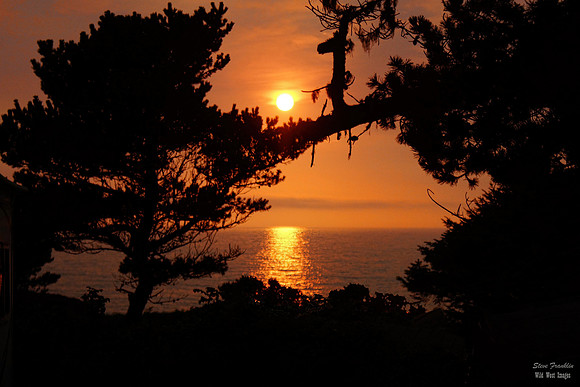 1 Sunset Seal Rock Beach 30x20 lightr det best WWI