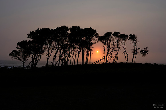 Oregon Sunset 5 DET WWI