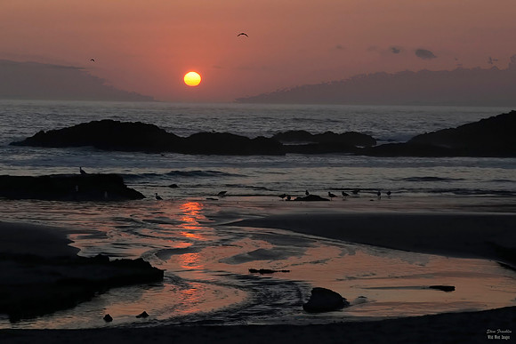 Sunset Seal Rock 5 det WWI
