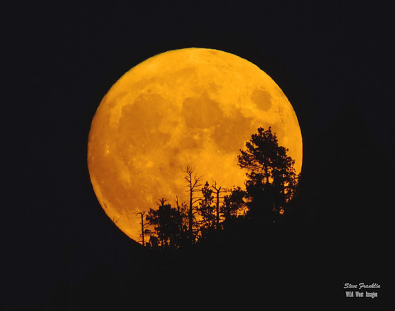Moon Rushmore 7 det WWI