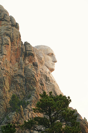 Rushmore sides 3 det WWI