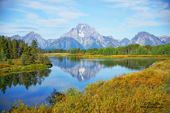 Ox Bow Bend & Mt Moran Grand Teton N.P. Pre-Fall