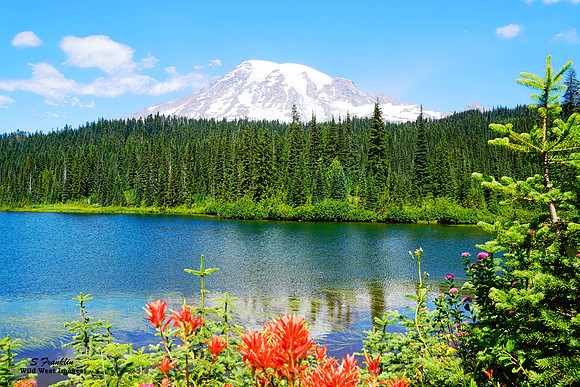 Mt Ranier & Reflection Lake Washington