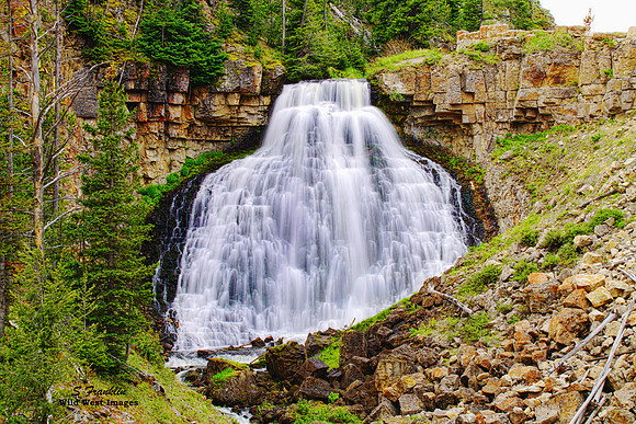 Rustic Falls Yellowstone N.P.