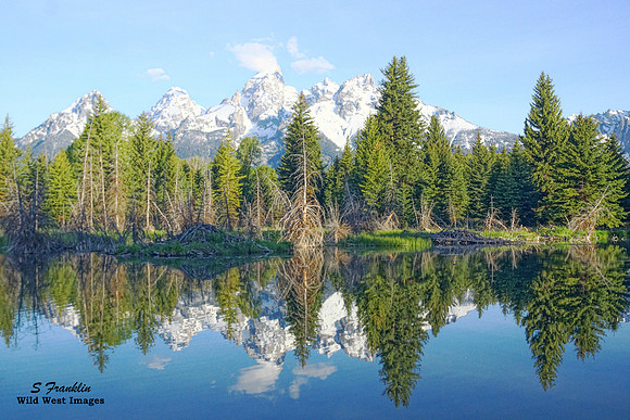 Schwabacher Landing Grand Teton N.P.