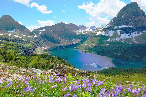 Glacier Hidden Lake 1