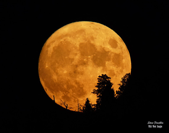Moon Rushmore 5 det WWI