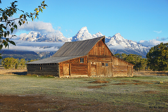 Teton mountains 2 det WWI