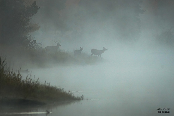 Elk Mist 3 det WWI best
