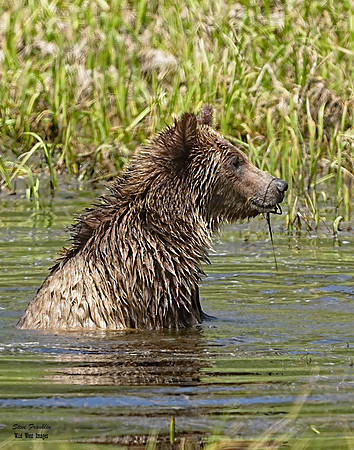 Storm in Pond 4 det + WWI