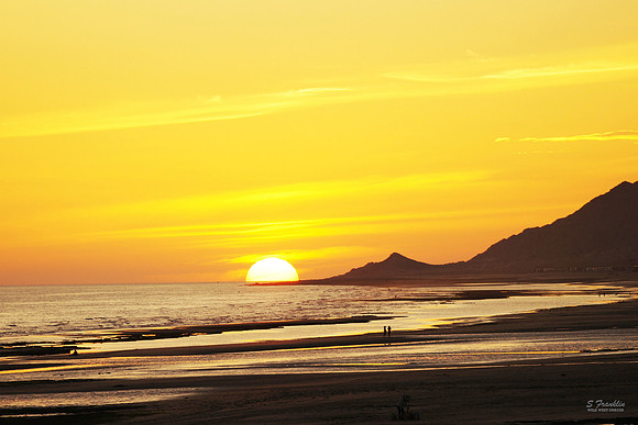 Sunset Sandy Beach Rocky Point