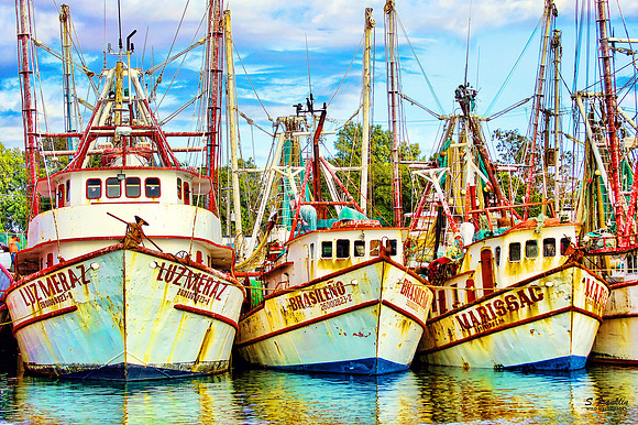 Shrimping Boats 2