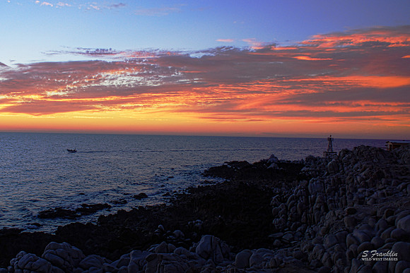 Sunset Pongas