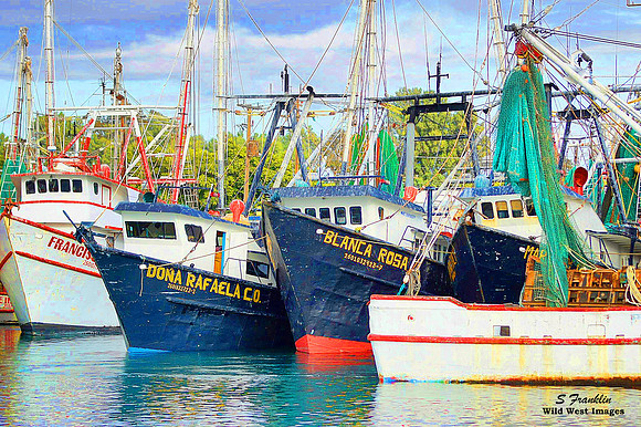 Shrimping Boats 1